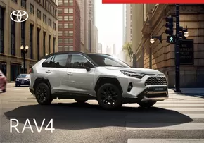 Toyota Katalog | Toyota RAV4 | 2024-12-07T00:00:00.000Z - 2025-12-07T00:00:00.000Z