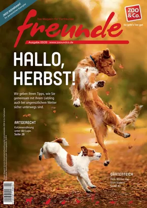 ZOO & Co Katalog | Attraktive Angebote entdecken | 2025-04-08T00:00:00.000Z - 2025-04-22T00:00:00.000Z