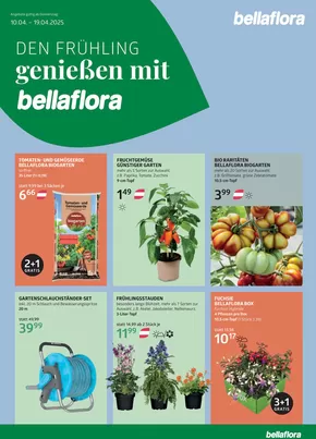 Bellaflora Katalog | Bellaflora angebote | 2025-04-18T00:00:00.000Z - 2025-04-19T00:00:00.000Z