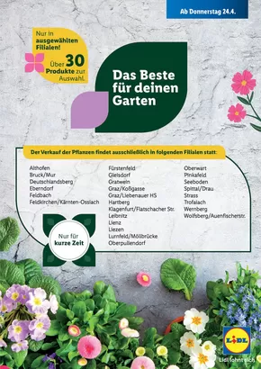 Lidl Katalog | Sonderflyer Sonder-Pflanzenverkauf | 2025-04-24T00:00:00.000Z - 2025-04-26T00:00:00.000Z