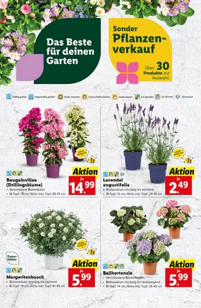 Lidl Katalog in Rankweil | Exklusive Schnäppchen | 2025-04-24T00:00:00.000Z - 2025-04-26T00:00:00.000Z