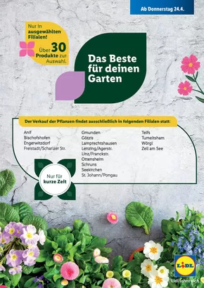 Lidl Katalog in Rankweil | Exklusive Deals und Schnäppchen | 2025-04-24T00:00:00.000Z - 2025-04-26T00:00:00.000Z