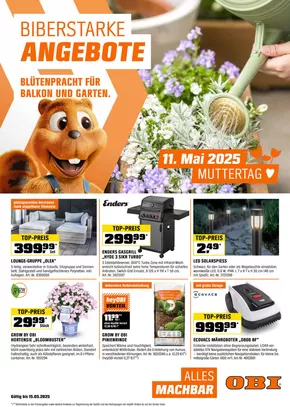 OBI Katalog in Ried im Innkreis | BIBERSTARKE ANGEBOTE | 2025-04-29T00:00:00.000Z - 2025-05-15T00:00:00.000Z